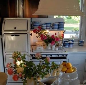 Meet your Posher, Terri